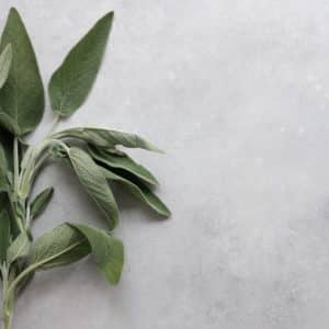how much ashwagandha for adrenal fatigue